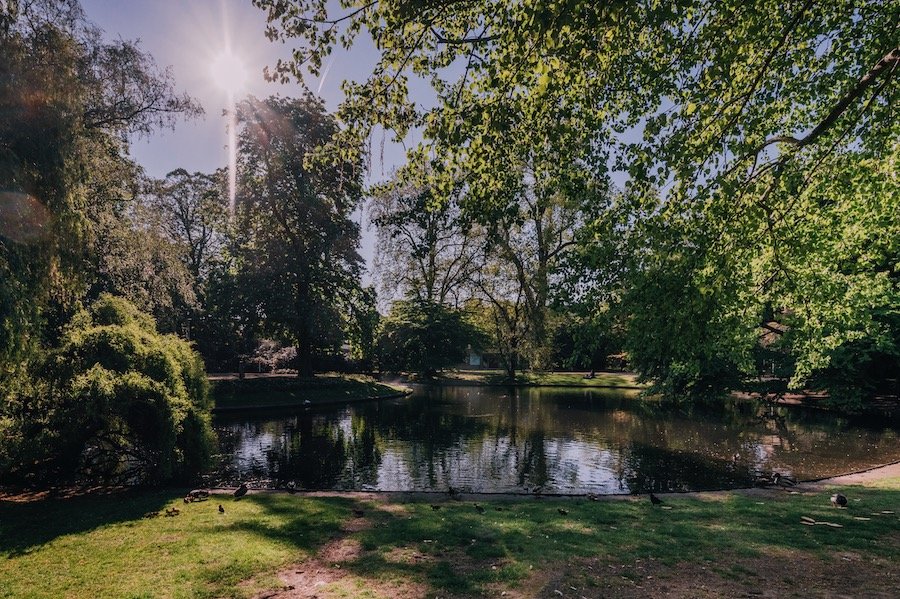 Wilhelminapark - Tilburg